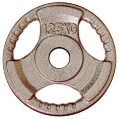 Fitness And Sport 1.25kg Standard Size Cast Iron Weight Plate