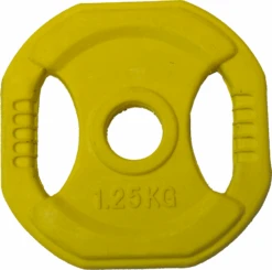 Fitness And Sport 1.25kg Rubber Coated Body Bump Weight Plate