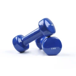 Fitness And Sport Pair Of 2.5kg Vinyl Coated Dumbbell