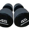 Fitness And Sport Pair Of 45kg Rubber Round Dumbbell (*LOCAL PICKUP ONLY FOR THIS PRODUCT*)
