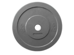 Fitness And Sport 5kg Olympic Bumper Plate