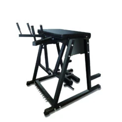 Fitness And Sport Commercial Reverse Hyper