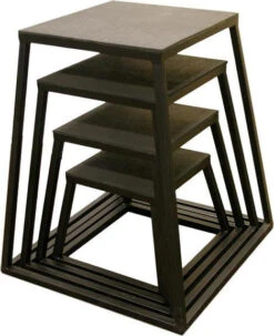 Fitness And Sport Plyometric Box Set Of 4